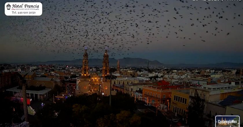 🎬 1 minuto · 1 amanecer del jueves 25 de diciembre de 2025 desde el Hotel Francia Aguascalientes