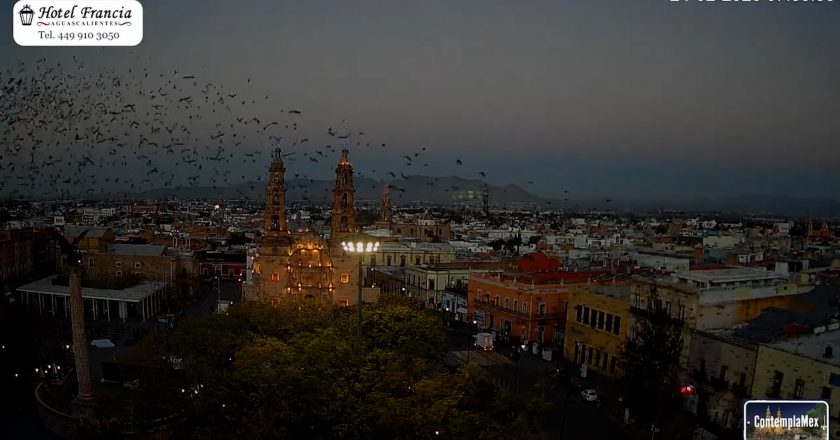 🎬 1 minuto · 1 amanecer del martes 24 de febrero de 2026 desde el Hotel Francia Aguascalientes