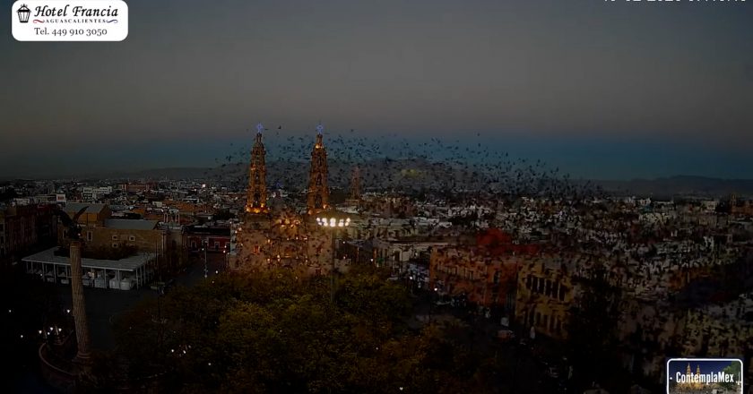 🎬 1 minuto · 1 amanecer del jueves 19 de febrero de 2026 desde el Hotel Francia Aguascalientes